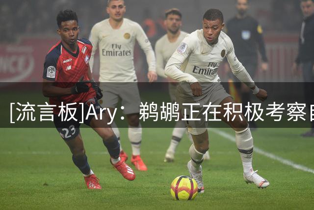 [流言板]Ary：鹈鹕正在积极考察自由市场前锋，曾有意塞布尔和琼斯